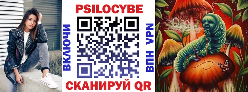 купить наркотик  Духовщина  Псилоцибиновые грибы прущие грибы 